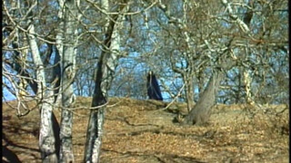 Retro Incest Porn 'Sleepy Head' (1973) | Classic XXX Movie